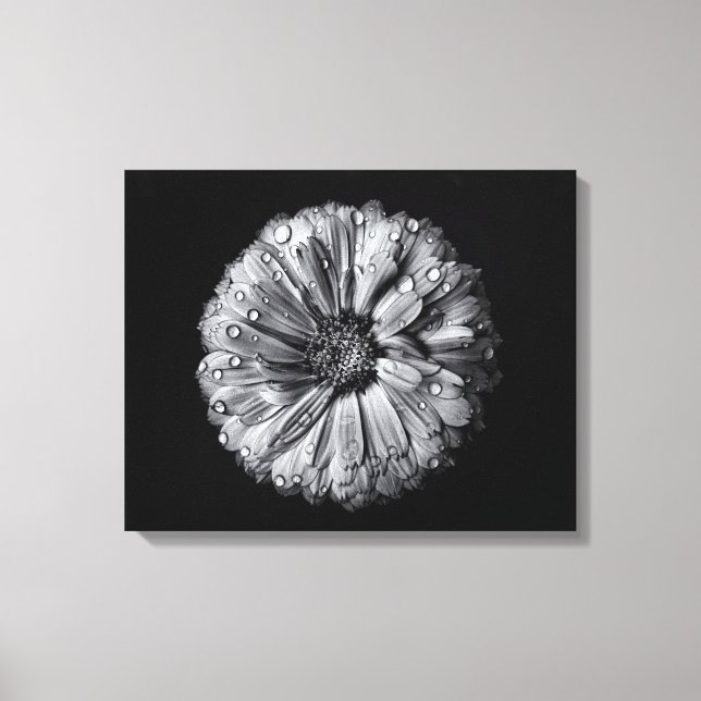 Black And White Flowers 10 Canvas Print (Front)