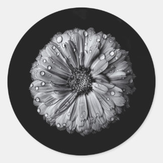Black And White Flowers 10 Classic Round Sticker
