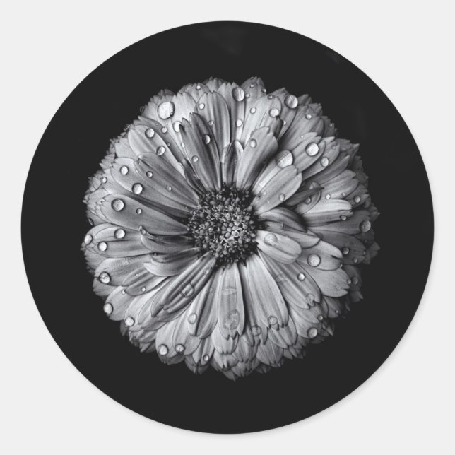 Black And White Flowers 10 Classic Round Sticker (Front)