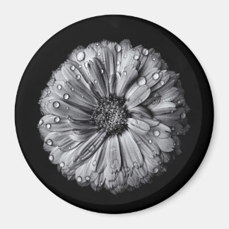 Black And White Flowers 10 Magnet