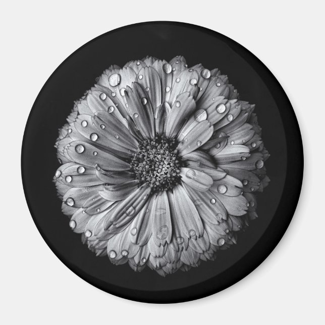 Black And White Flowers 10 Magnet (Front)