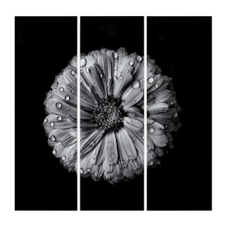 Black And White Flowers 10 Triptych