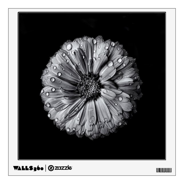 Black And White Flowers 10 Wall Sticker (Front)