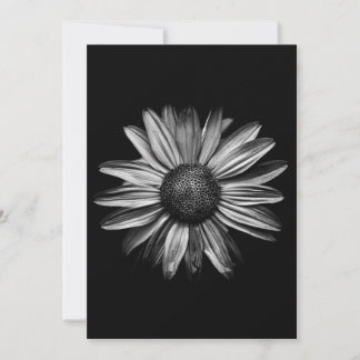 Black And White Flowers 18
