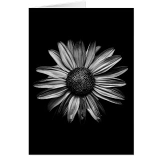 Black And White Flowers 18