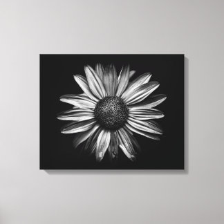 Black And White Flowers 18 Canvas Print
