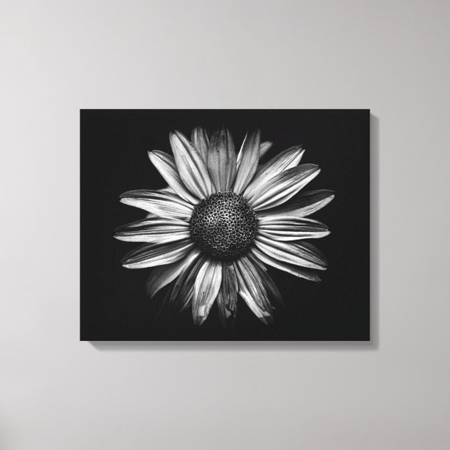 Black And White Flowers 18 Canvas Print (Front)