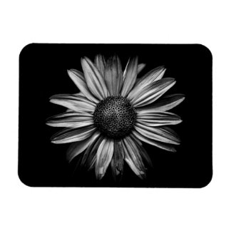 Black And White Flowers 18 Magnet
