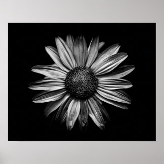 Black And White Flowers 18 Poster