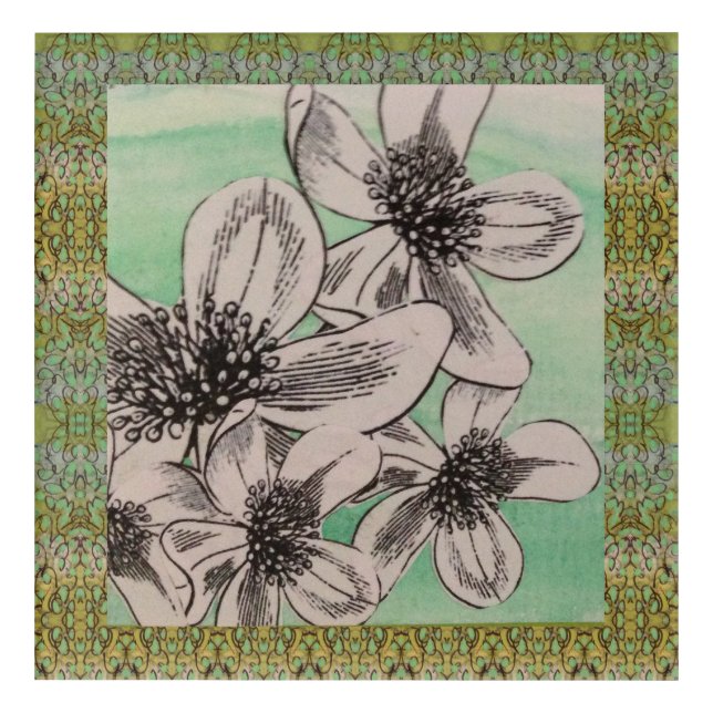 Black and White Flowers Acrylic Print (Front)