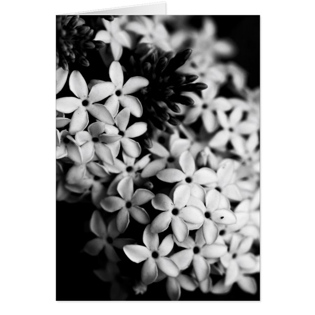 black and white flowers cards (Front)
