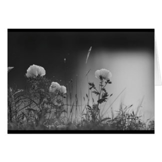 Black and white flowers cards
