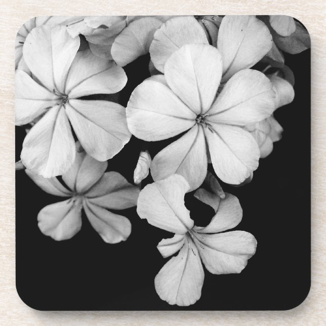 Black and white flowers close-up beverage coaster (Front)