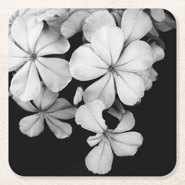 Black and white flowers close-up square paper coaster (Front)