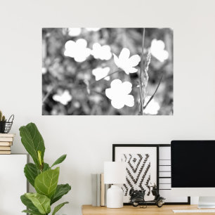 Black And White Flowers Modern Artsy Photography Poster