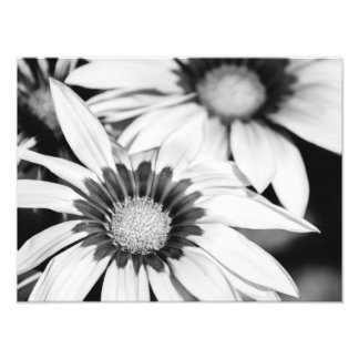 Black and White Flowers Photo Print