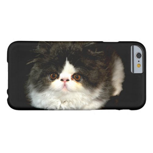 Black and white fluffy kitten barely there iPhone 6 case