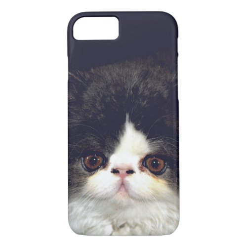 Black and white fluffy kitten iPhone 87 case