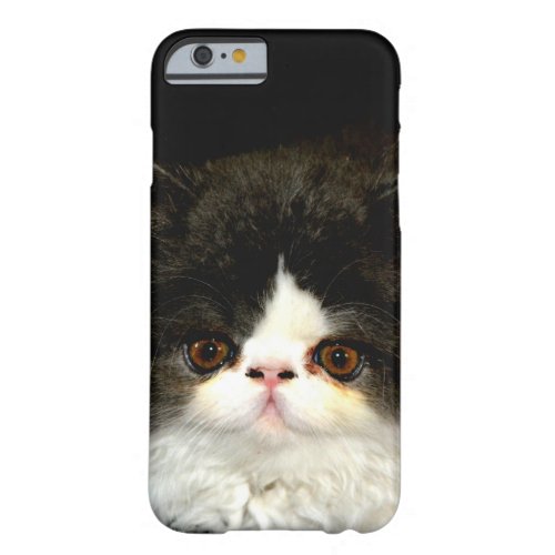 Black and white fluffy kitten barely there iPhone 6 case