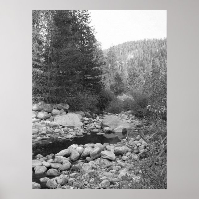 Black and White Forest Creek Poster (Front)