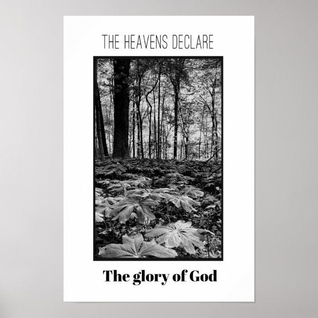 Black and White Forest Glory of God Poster (Front)
