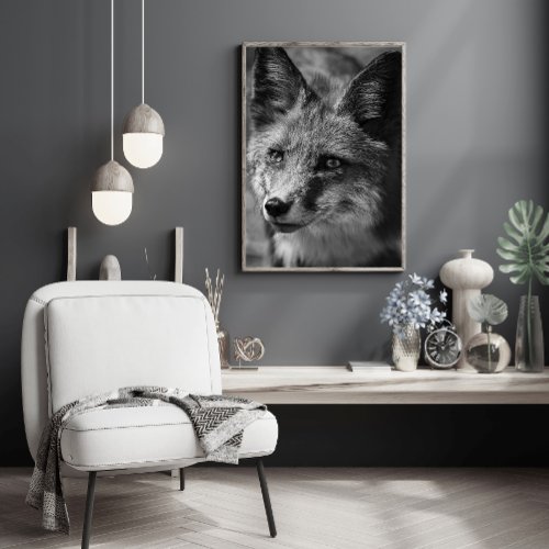 Black and White Fox Animal Photo  Poster