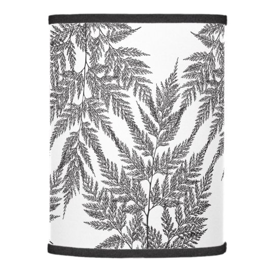 Black and White Fragile Fern Silhouette Lamp Shade (Right)