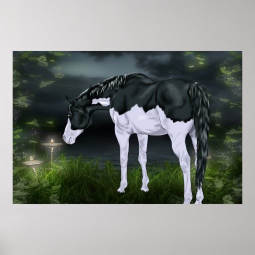 Black and White Frame Overo Paint Horse Poster Zazzle