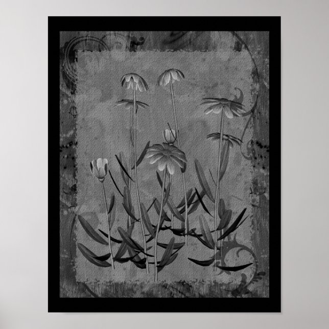 Black And White Framed Daisies Floral Art  Poster (Front)