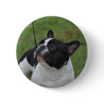 Black and White French Bulldog Button