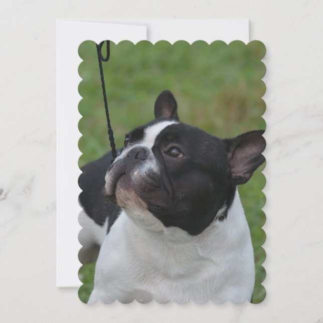 Black and White French Bulldog Invitation (Front)