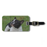 Black and White French Bulldog Luggage Tag