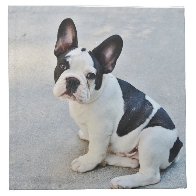 Black and White French Bulldog Napkin (Front)