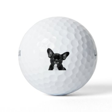 Black and White French Bulldog Portrait Golf Balls
