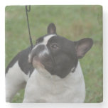 Black and White French Bulldog Stone Coaster