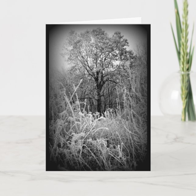 Black And White Frosty Winter Scene All Occasion Card (Front)