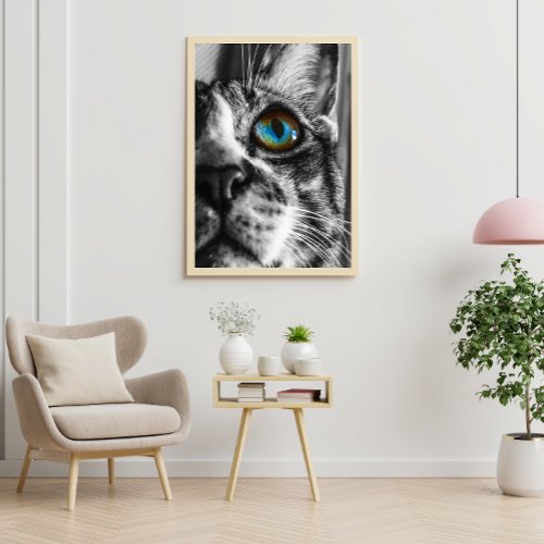 Black and White Funny Cat Colorful Eyes Photo Poster
