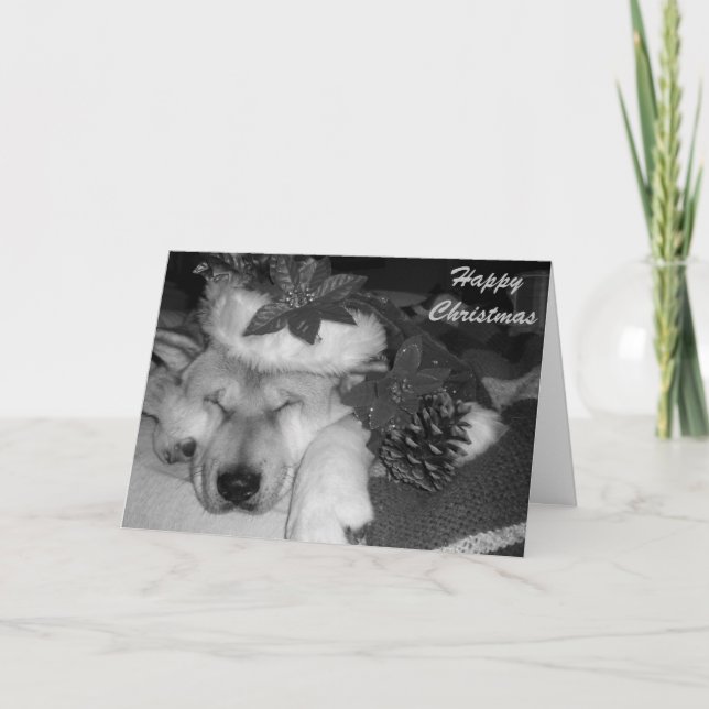 black and white funny cute dog dressed as santa holiday card (Front)