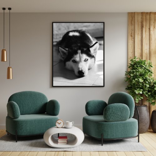 Black and White Funny Dog Animal Photo Poster