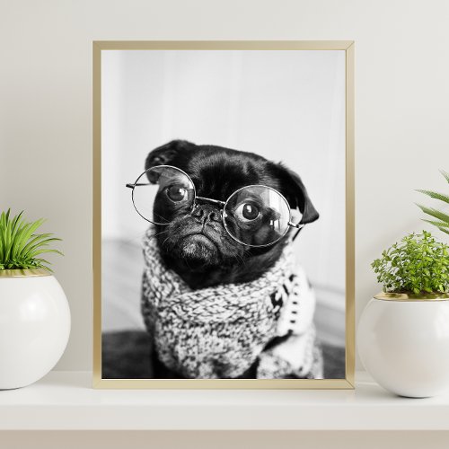 Black and White Funny Dog Animal Photo Poster