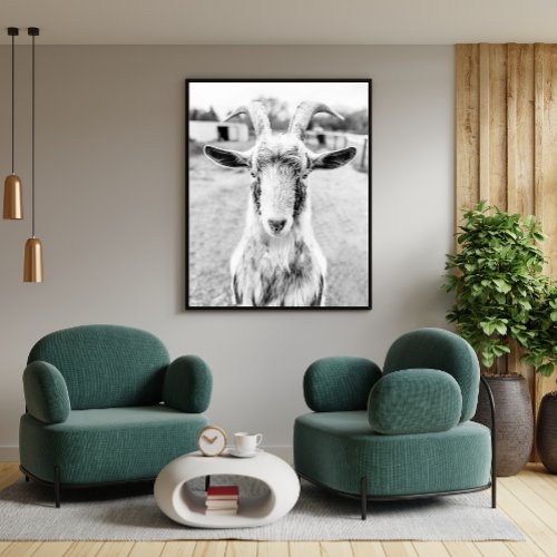 Black and White Funny Goat Animal Photo Poster