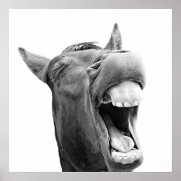 Black and white funny horse animal photo poster