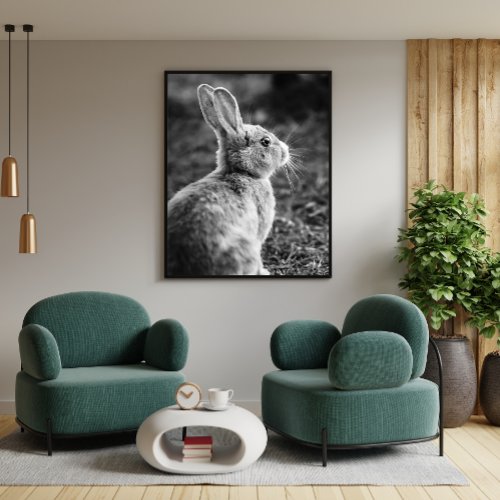 Black and White Funny Rabbit Animal Photo Poster