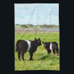 Black And White Galloway Calves, Kitchen Towel<br><div class="desc">Pictured in the countryside are two young Galloway cows</div>