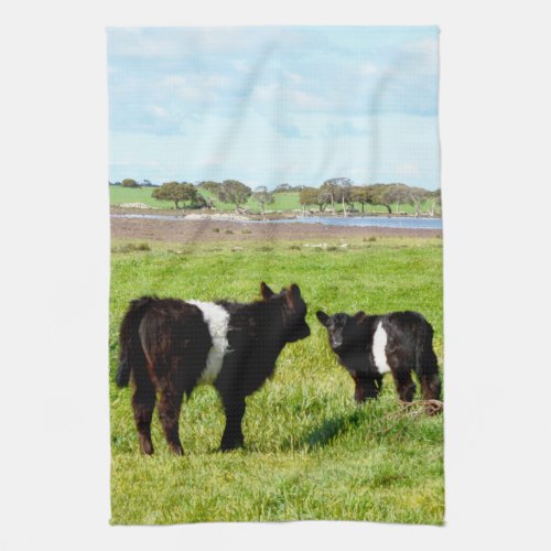 Black And White Galloway Calves Kitchen Towel