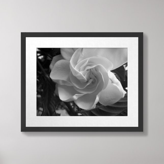 Black And White Gardenia Photograph Framed Art (Framed Front)