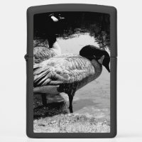 Black and White Geese Quiet Moment by the Lake
