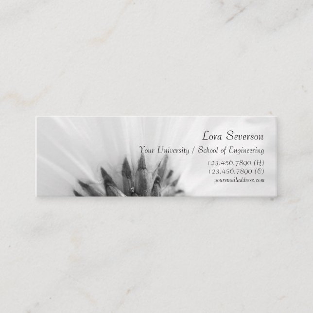 Black and White Gerber Daisy Graduate Calling Card (Front)