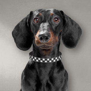 Black and White Gingham Check Dog Collar