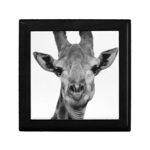 Black and White Giraffe Photograph Gift Box